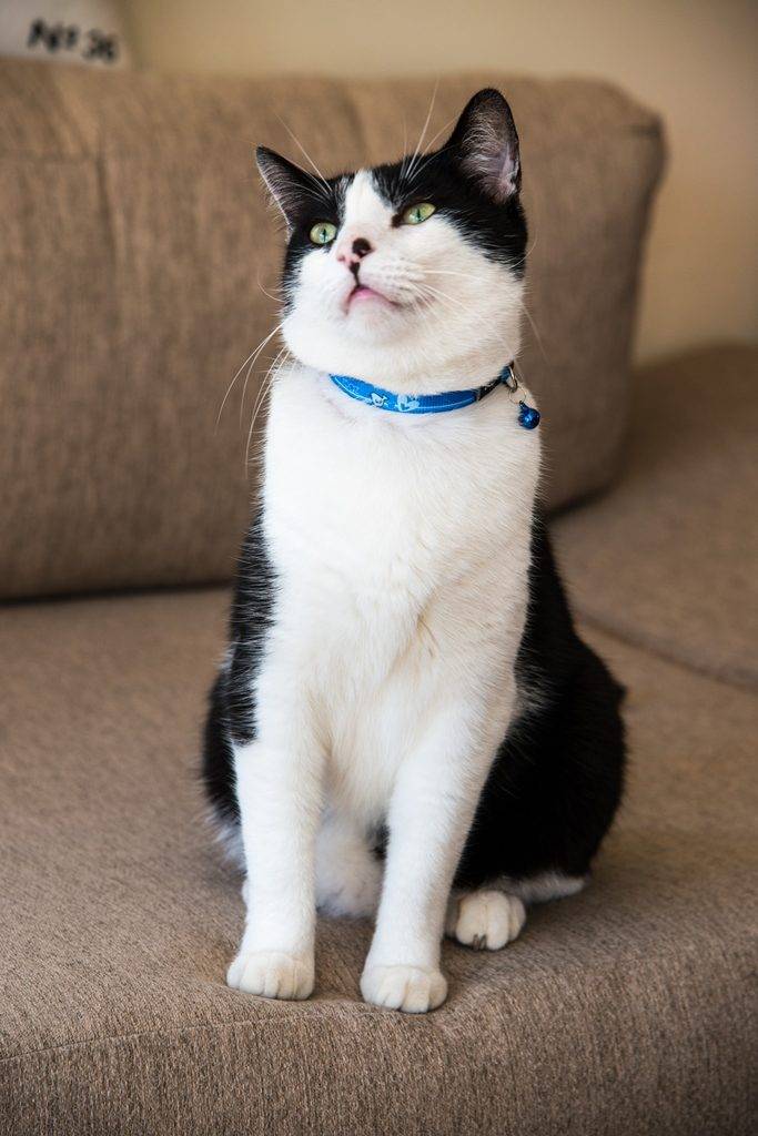 CB07-N.PT01-683x1024