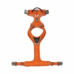 Comfort Walk Pro Harness-Orange Sun_4
