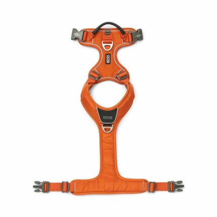Comfort Walk Pro Harness-Orange Sun_4