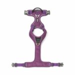 Comfort Walk Pro Harness-Purple Passion_4