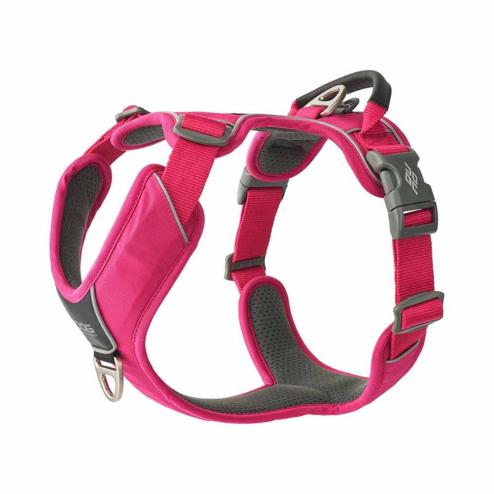 images Comfort Walk Pro Harness-Wild Rose_1