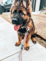 CopyofIMG_6300_1800x1800