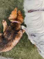 CopyofIMG_6411_1800x1800