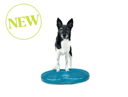 DD_Option5-New-2_1_1080x