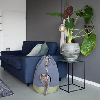 district70 casa moss green5