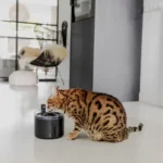 district-70-district-70-flow-22-l-draadloze-drinkf (2)