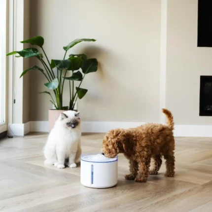 district-70-district-70-flow-22-l-draadloze-drinkf (5)