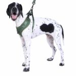 DOOG_22_514_LR_1800x1800