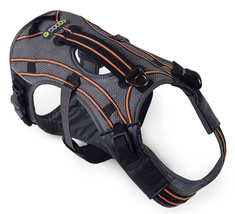EQDOG Pro Harness Oranje 1