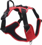 EXPHA40 JV EXPEDITION Harness Red-1