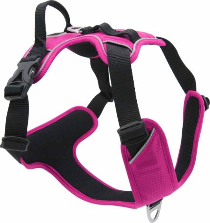 EXPHA42 JV EXPEDITION Harness Fuchsia-1
