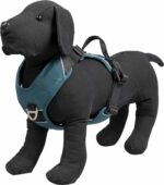 EXPHA50 JV EXPEDITION Harness Blue-2