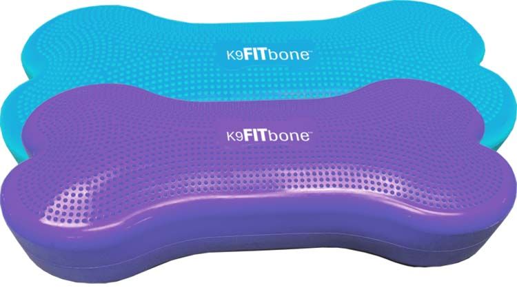 Fitpaws Giant k9FITbone turquoise