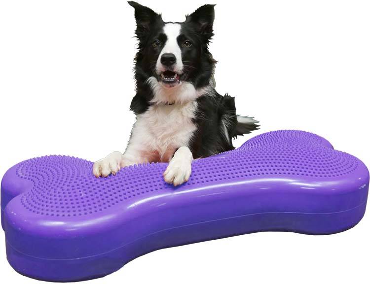 Fitpaws Giant k9FITbone violet