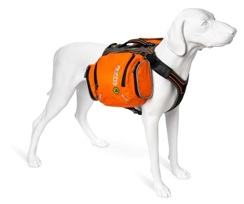 Fotograf-Steen-Knarberg-Dog-Flex-pack-ll-M-Orange-JPG-sRGB-2500pix
