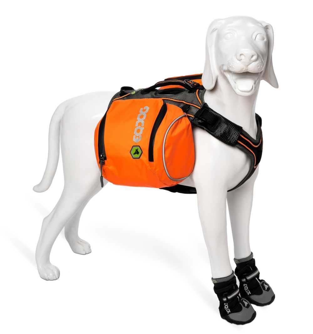 Fotograf-Steen-Knarberg-Dog-Flex-pack-ll-S-Orange-JPG-sRGB-2500pix-1
