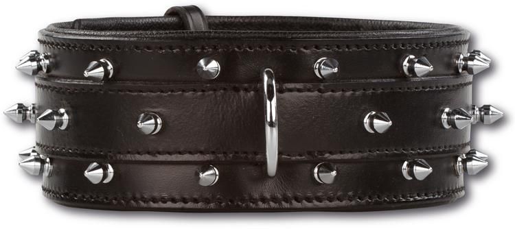 getCanvasImageElink.aspx