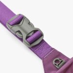 Go Explore Belt Bag-Purple Passion_5