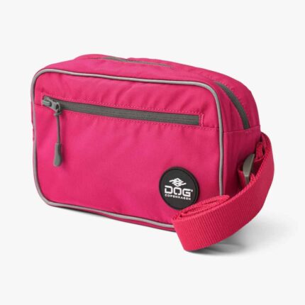 Go Explore Belt Bag-Wild Rose_1