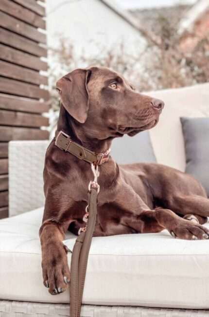 halsband-klickverschluss-taupe-rose-55cm-27mm~2