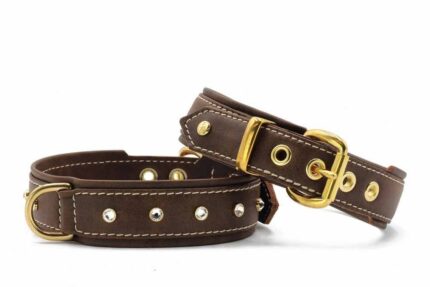 halsband-old-english-mit-stein-dark-brown-gold-35-cm-24-mm~3