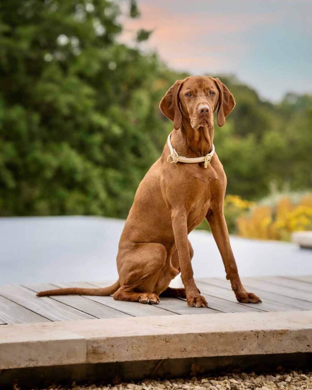 halsband-rundgenaeht-elfenbein-70cm-10mm-elfenbein-gold~3