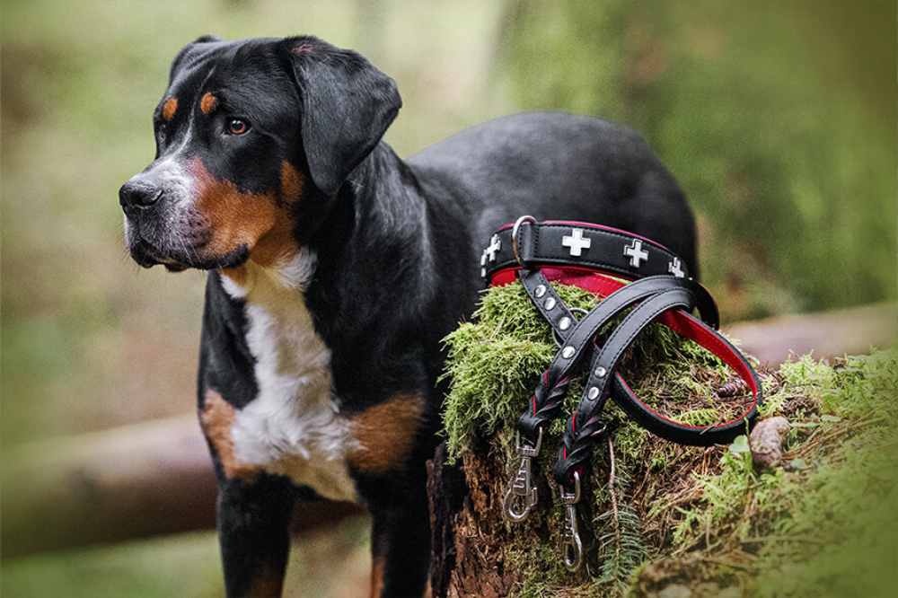 halsband-schweizer-kreuz-80cm-40mm-schwarz-rot-silber
