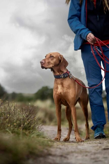 halsband-seefahrt-60cm-35mm-blau-rot-silber~3