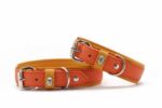 halsband-spring-break-60cm-35mm-mandarine-silber~3