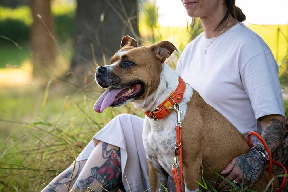 halsband-spring-break-60cm-35mm-mandarine-silber~4