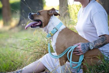 halsband-spring-break-60cm-35mm-mint-silber~3