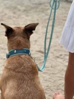 halsband-tropical-60cm-35mm-octane-mint-silber~2