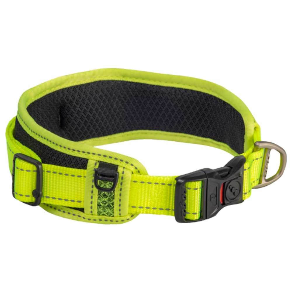 HBP05-H-Dayglo-Classic-Collar-Padded