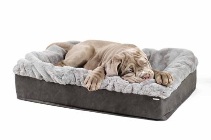 https-maul-ledermanufakturde-hundebett-buddelbox-kharlo_2~2