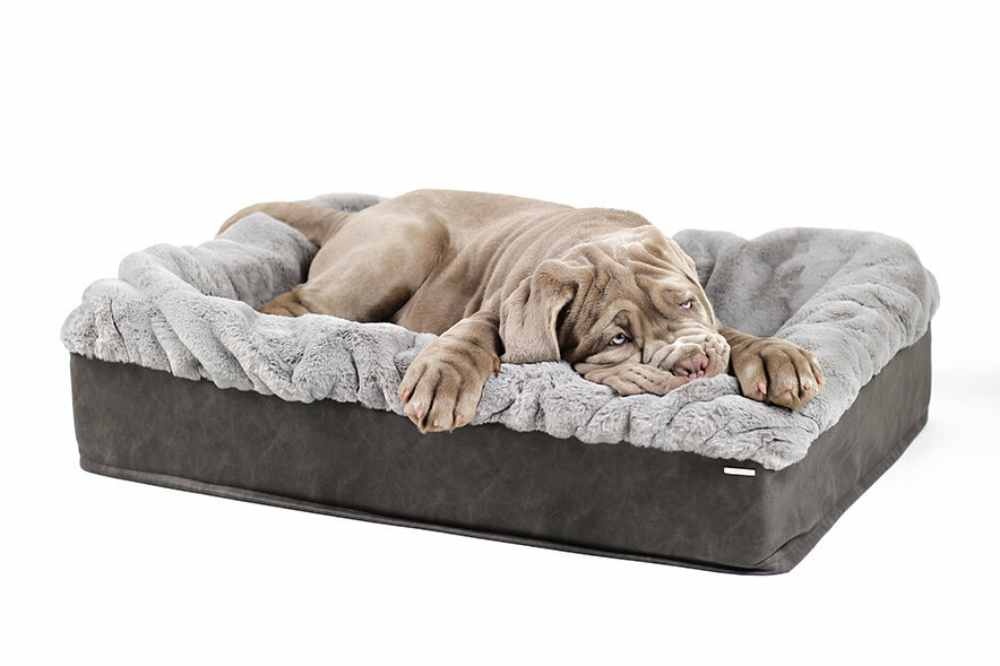 https-maul-ledermanufakturde-hundebett-buddelbox-kharlo_2~2