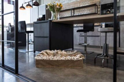 https-maul-ledermanufakturde-hundebett-buddelbox-luchs_3~2