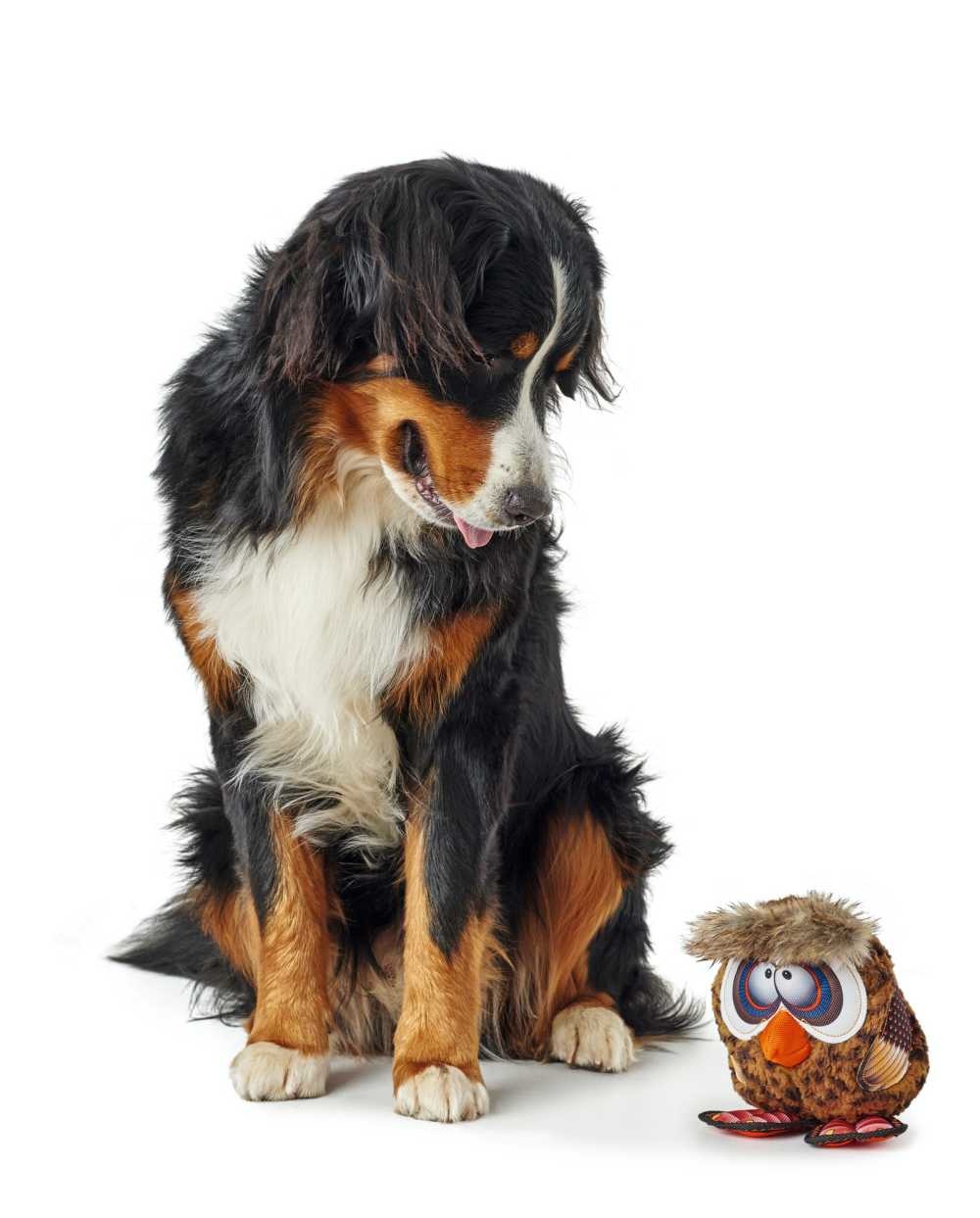 HUNTER_12466_65725_001_image_18-lpr