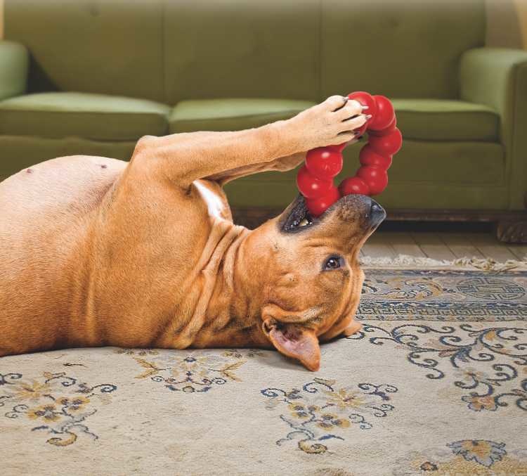 HUNTER_12599_66430_001_live_18