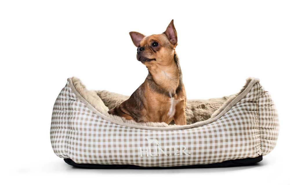 HUNTER_1290_61925_image_14-lpr