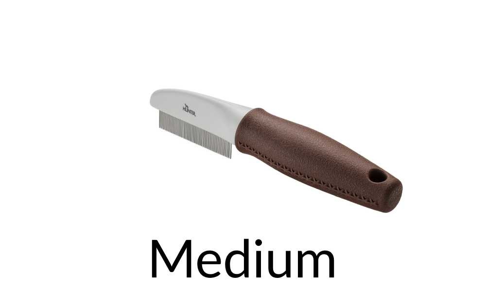 HUNTER_12976_65583_001_17-lpr