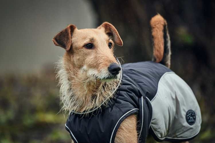 HUNTER_13362_65451_002_live_18-lpr