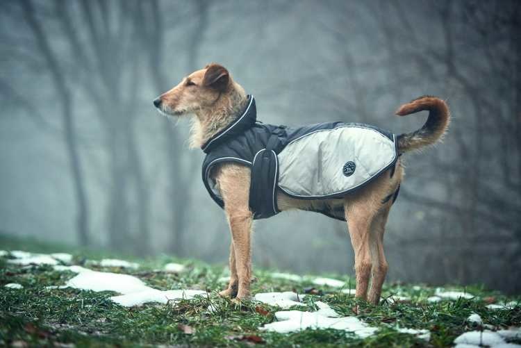 HUNTER_13457_65758_013_live_18-lpr