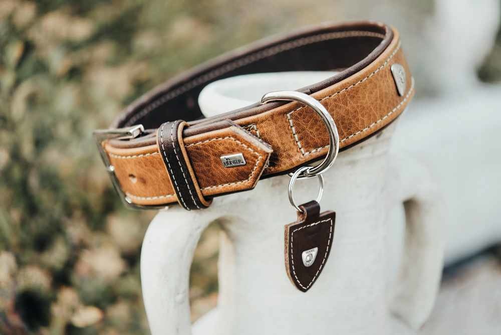 HUNTER_13896_65676_001_live_18-lpr