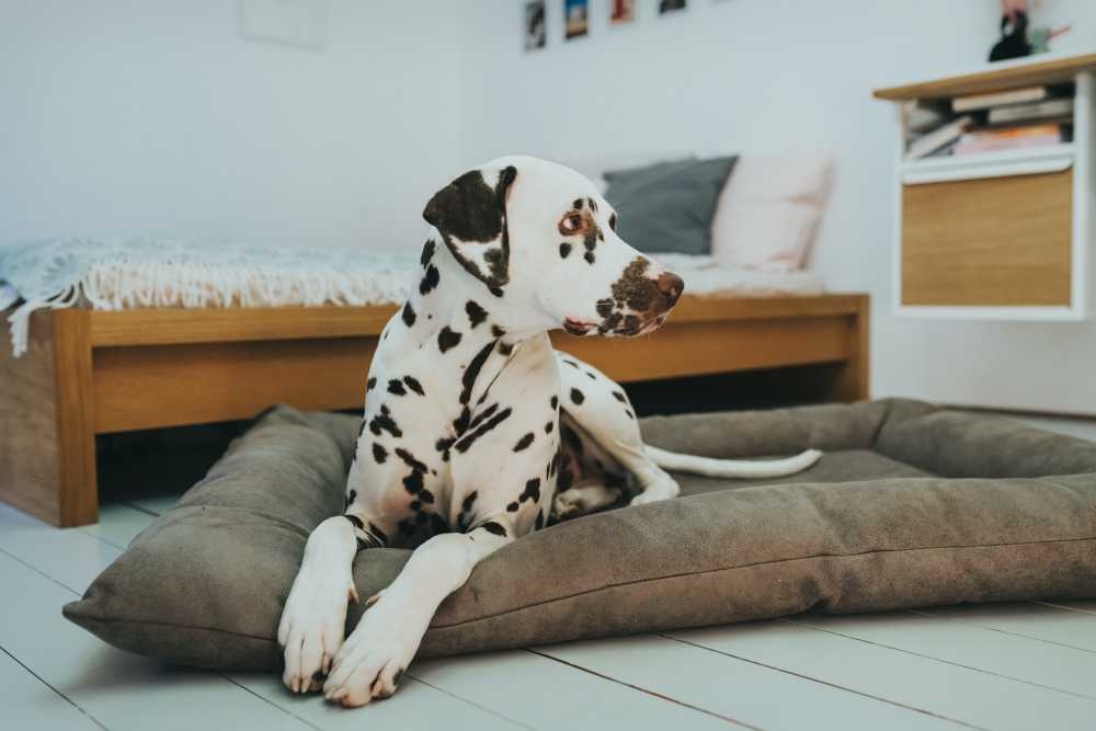 HUNTER_15574_67192_005_live_19-lpr