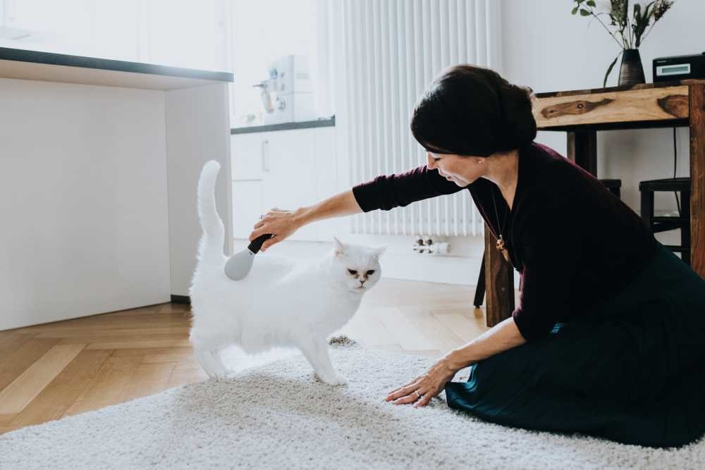 HUNTER_16070_65555_003_live_19-lpr