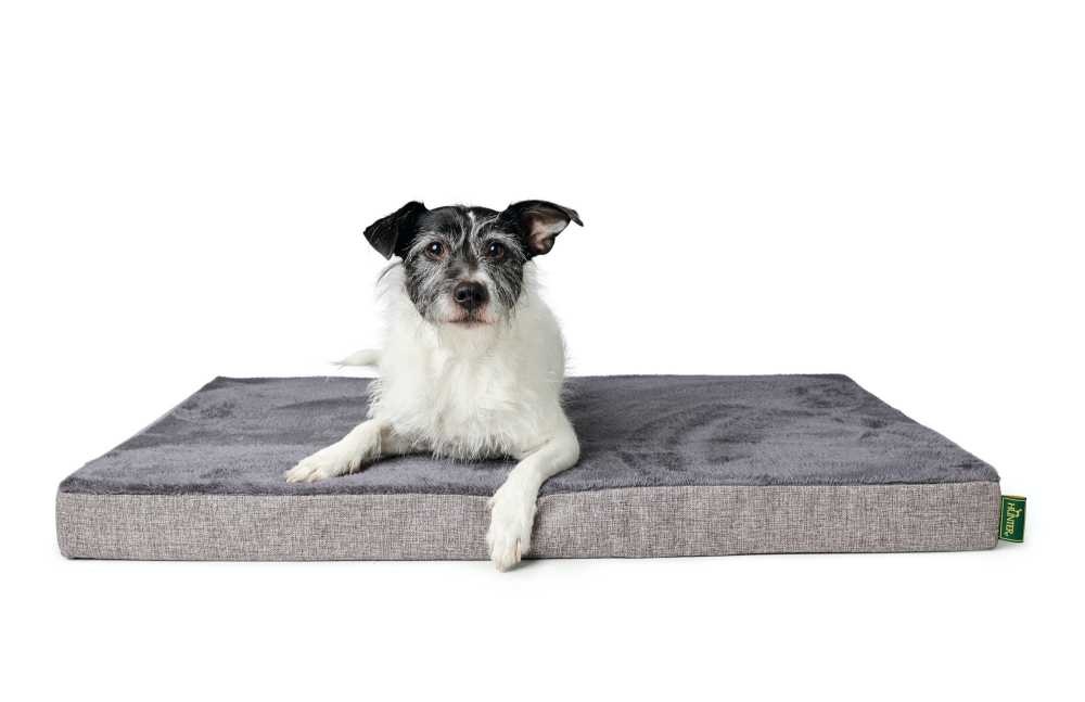 HUNTER_16768_67692_001_image_19-lpr