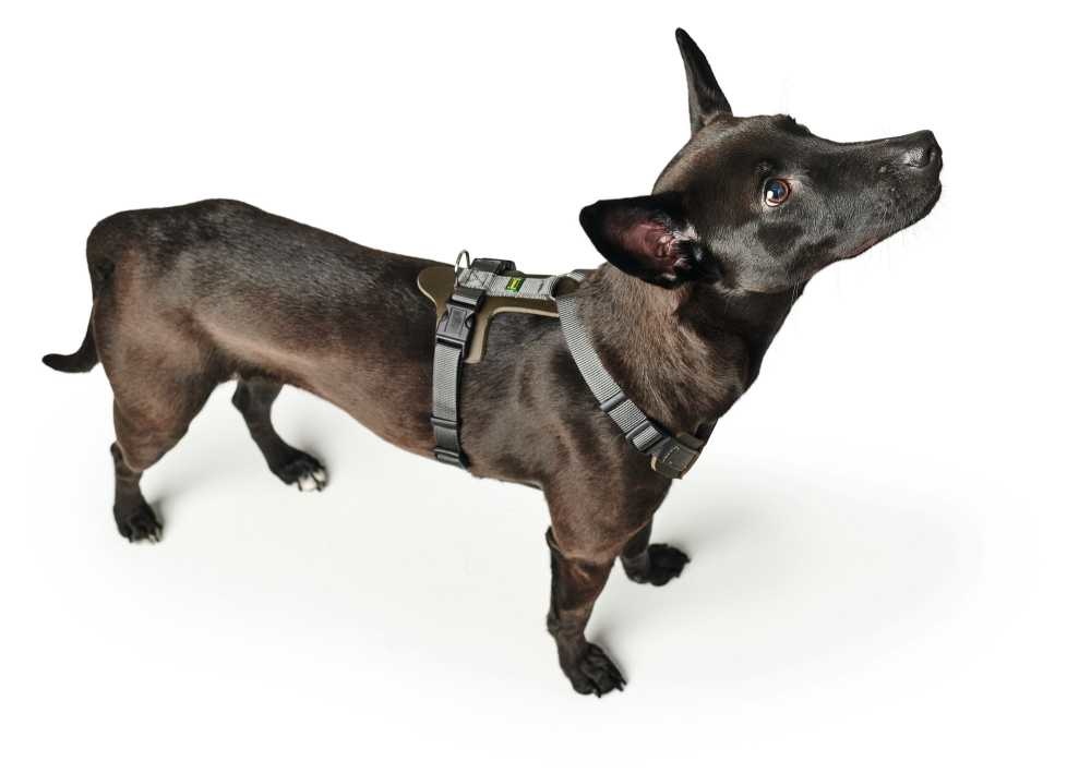 HUNTER_17426_68284_002_image_20-lpr