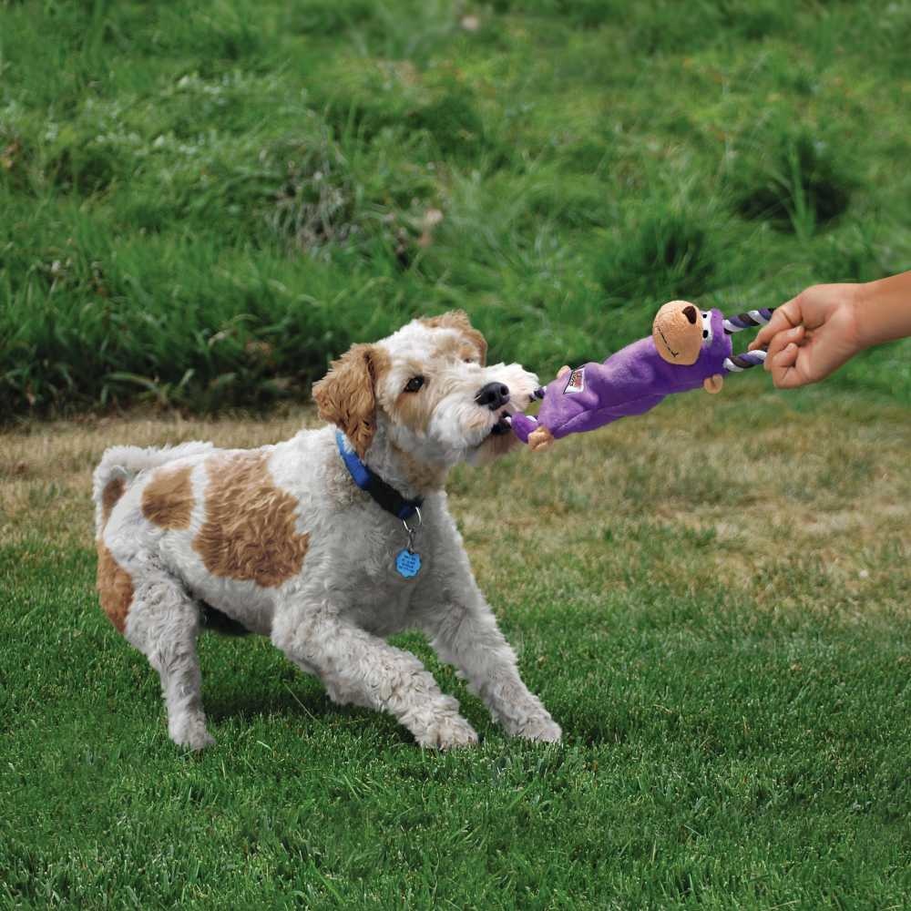 HUNTER_17572_62595_live_001_20-lpr