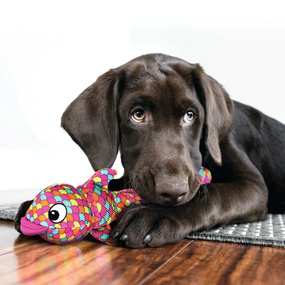 HUNTER_17591_68467_live_001_20-lpr