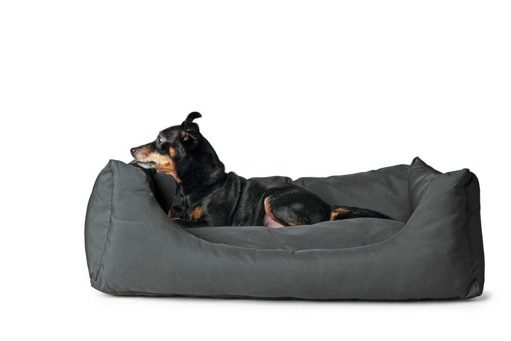 HUNTER_18067_67699_001_image_19-lpr